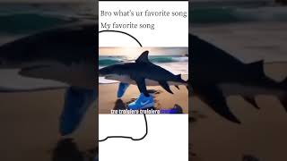 USE THIS SOUND