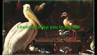 William Doyle: "I Need To Keep You In My Life" // Lyrics
