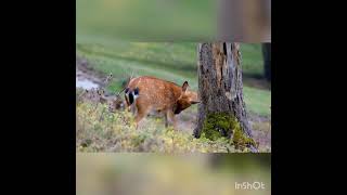 #MotivationalKahaniya #MotivationalStoryInHindi Best Powerful Motivational Kahani | Sk Imran