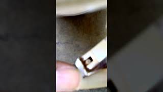 Very long Nail cut#shorts