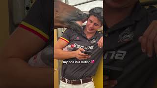 Where words fail,hearts connect.🐎❤️#horse #farm #funnyhorse #animals #horselove