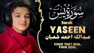Most Viral Recitation By Qari Abdullah Ahmed Shaban Surah al Yasin in Smooth Voice #shaban #tilawat