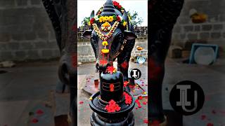 om siva...#ytviral #tamil #hindudeity #indiangods #sivaya #shiva #siva #nandi #trendingshorts