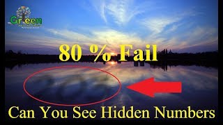 80 % Fail Nobody Can See All The Hidden Numbers 02 । Optical Illusions । Brain Teasers | Mind game