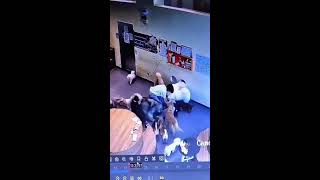 petsoftiktok Live Stream