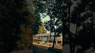 Beauty OF CHITTAGONG!! #shorts #chittagong #nature #slowed