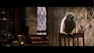 Harry Potter and the Christmas Flashback (HQ)