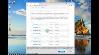 GetNwDownloadsFromSAP