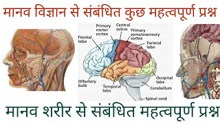 मानव शरीर से संबंधित महत्वपूर्ण प्रश्न || Important questions related to human body