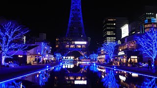 鏡面反射した青の洞窟を撮影してきた