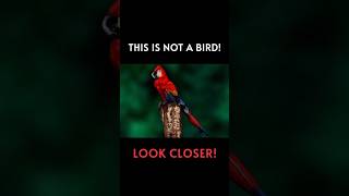 perspectives versus perception #mathamatics #prespective