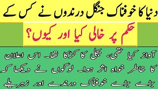 دنیا کا خوفناک جنگل درندوں نے کس کے حکم پر صرف ایک دن میں خالی کیا اور کیوں؟ @abdulkhair9463