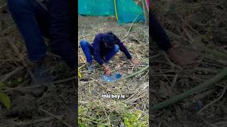 This man shocked everyone 😮😲 | Simply Explained. #shorts #snakeattack #simplyexplained #snake