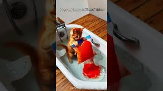 First collaboration 🥰/j #AI #memes #shorts  #ripheadphoneusers #voiceover #funny #aivoiceover #viral