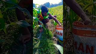 প্রজাপতির পিছে দৌড়িয়ে লাভ নেই বাগান সাজাও প্রজাপতি এমনি আসবে।New virul reels .