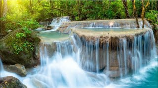 Nature sounds Relaxation music meditation| meditation music relax mind | sleep vibes relaxation