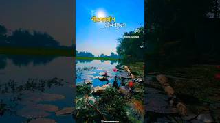 শীতের সকাল আবহাওয়া🥶#instagram #viralvideo  #shorts