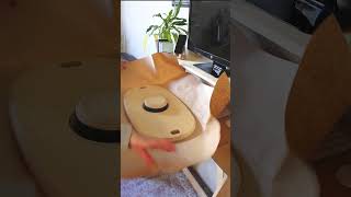 This Changed How I Work Forever #desksetup #homeofficedecor #small spaces