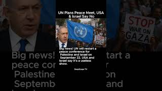 UN Plans Peace Meet, USA & Israel Say No #un #palestine #israel #twostatesolution