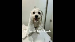 #bathtime #garlandtx #sachse #doglover #wylietx #rowletttx #mobilepetgrooming