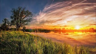 8 Hours of Relaxing Music & Beautiful Nature, Piano Music for Stress Relief, Deep Sleeping Music #11