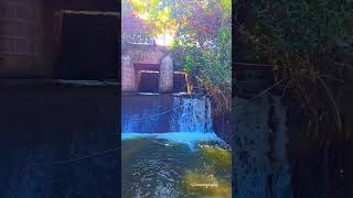 Canal  converting into beautiful waterfall #shorts #devine  #scenicbeauty #prettynature