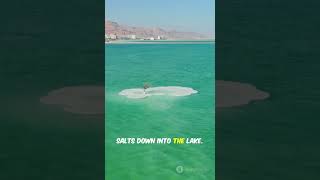 Why is the Dead Sea so salty? #deadsea #geology #sciencereels #naturefacts #earthscience #gkearth