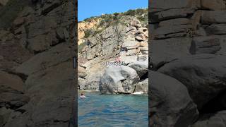 Send this to bro 🤝 #business #motivation #success #motivation #dropshipping #shopfiy