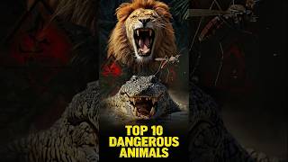 "Top 10 Most Dangerous Animals in the World" #history