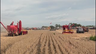 2025 Half Century Of Progress Day 3: Ford/Ferguson Case Display, Plowing, Cutting Beans, Tillage