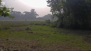 শীতের সকালে নোয়াখালীর বিখ্যাত খোলাজালি পিঠা।।  গ্রামীণ পরিবেশে খোলার পিঠা // Khola jali pitha.