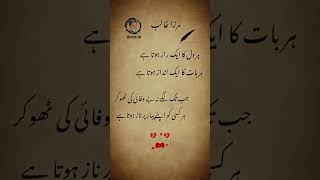 #alonstatus #poetry #sad #haveitoldyoulatelythatiloveyou #urdupoetry