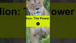 Top ten dangerous fact