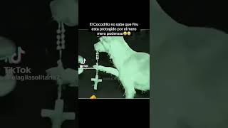 😂😅😄🐕🐊 #viralvideo #humor #viralreels #viral #memes
