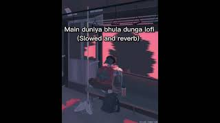 Mein duniya bhula dunga lofi.main duniya bhula dunga teri chahat mein.  lofi house hd.