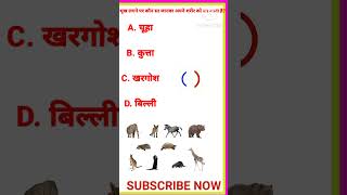 GK questions #gkcurrentaffairs #gkquestionandanswer #currentaffairs #gkshortvideo #gkquizinhindi