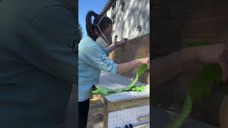 DIY Headboard | Breezing Through Blog