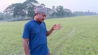চিতার আগুন দিয়া বুকে আছো তুমি কত সুখে নিঃস্ব করেছ আমার জীবন।