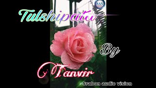 Tulshipata | Tanver | New Bangla Song 2021 | [S.A.V.] #music #banglasong2021 #banglagaan2021
