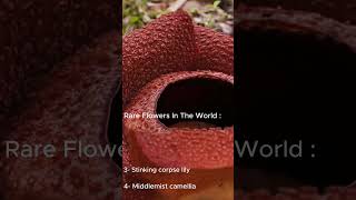 Rare Flowers in the word... part 1 #foryou #flowers #nature  #rare