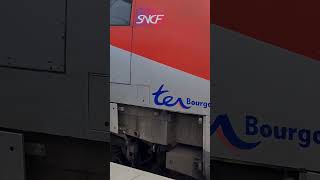 Ter Bourgogne endommagé et voyageurs contraints de quitter le train à Montereau.
