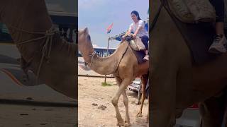 Very Sacred but Enjoyed🤭 | #priyankamongia #piyanka_mongia #piyankamongia #shorts #rajasthan