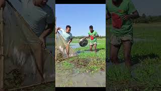 পানিতে কি ছিল