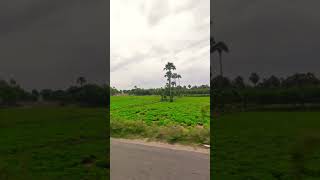 Bike ride along village road #shorts