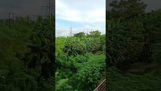 akasheo alpo nil #আকাশেও_অল্প_নীল #arijit_singh_song #bengali_album_song #love #dev #rukmini #music