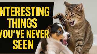 Interesting videos of animals you’ve never seen before