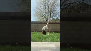 the handstand and aerial  was rough i promise i can do better #gymnast @pinkpalmpuff GET 5K PLZZ