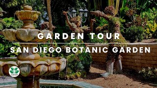 Exploring the Hidden Wonders of San Diego Botanic Garden