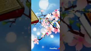 ❣️❣️❣️🌹🌹🌹🌹❣️ #banglaislamicgojol #banglavideogojol