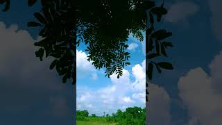 Mai Phir Bhi Tumko Chahunga | Clouds | #cloudlove #shorts  #nature